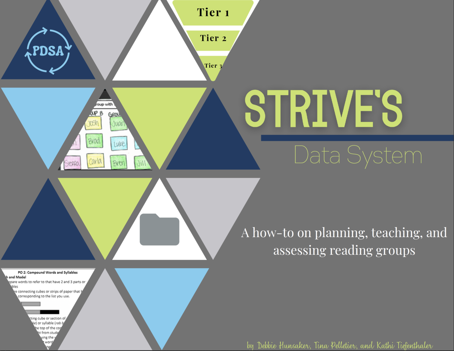 STRIVE's Data System STRIVE TLC